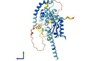 AlphaFold protein structure predicition of Mouse Recombinant Aup1 Protein, UniprotID P70295