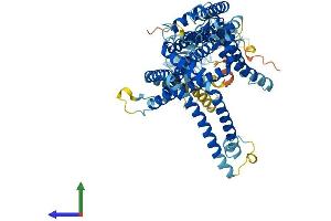 AlphaFold protein structure predicition of Mouse Recombinant Slc44a4 Protein, UniprotID Q91VA1 (SLC44A4 Protein (AA 1-707) (His tag))