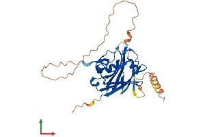 AlphaFold protein structure predicition of Human Recombinant SIAH3 Protein, UniprotID Q8IW03
