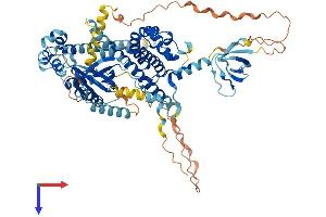 EPS8-Like 1 Protein (EPS8L1) (AA 1-723) (His tag)