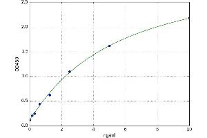 Solute Carrier Family 27 (Fatty Acid Transporter), Member 4 (SLC27A4) ELISA Kit