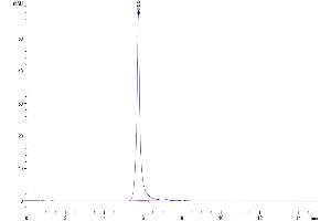 Size-exclusion chromatography-High Pressure Liquid Chromatography (SEC-HPLC) image for Leukocyte Immunoglobulin-Like Receptor, Subfamily B (With TM and ITIM Domains), Member 2 (LILRB2) (AA 22-458) protein (Fc Tag) (ABIN7275169)