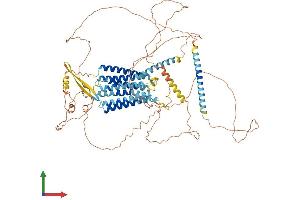 Protein Structure (PS) image for G Protein-Coupled Receptor 156 (GPR156) (AA 1-814) protein (His tag) (ABIN7554027)