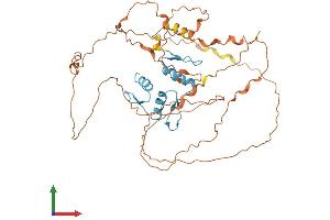 AlphaFold protein structure predicition of Mouse Recombinant Klf5 Protein, UniprotID Q9Z0Z7 (KLF5 Protein (AA 1-446) (His tag))