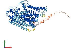 Protein Structure (PS) image for High Affinity Choline Transporter (ChT) (AA 1-580) protein (His tag) (ABIN7558596)
