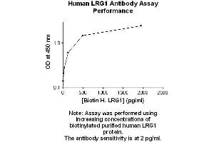 Image no. 1 for anti-Leucine-Rich alpha-2 Glycoprotein 1 (LRG1) antibody (ABIN5567230) (LRG1 antibody)