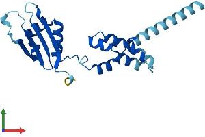 AlphaFold protein structure predicition of Mouse Recombinant Fbxo36 Protein, UniprotID Q9CQ24 (FBXO36 Protein (AA 1-188) (His tag))