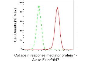 Flow cytometric analysis of Collapsin response mediator protein 1 expression in HAP-1 cells using Collapsin response mediator protein 1 antibody (ABIN7798129), 1:2,000).