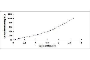 Typical standard curve (Albumin ELISA Kit)