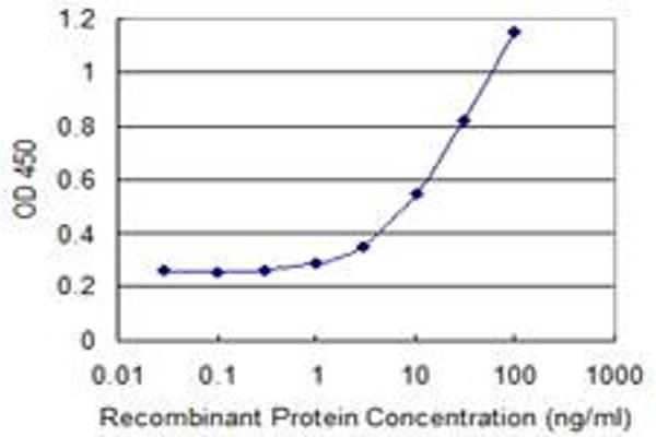 ZSWIM2 antibody  (AA 1-99)