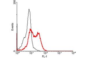 FACS: Human CD137L-transfected HEK 293 cells were stained significantly using anti-CD137L (human), mAb (41B436) . (TNFSF9 antibody  (Extracellular Domain))