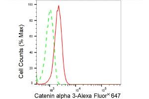 Flow cytometric analysis of Catenin alpha 3 expression in HepG2 cells using Catenin alpha 3 antibody (, 1:2,000). (Recombinant CTNNA3 antibody)