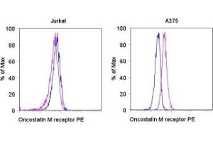 Image no. 1 for anti-Oncostatin M Receptor (OSMR) antibody (PE) (ABIN475222) (Oncostatin M Receptor antibody  (PE))