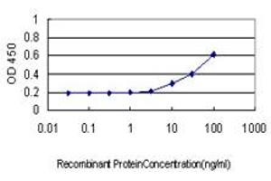 Detection limit for recombinant GST tagged CX3CR1 is approximately 10ng/ml as a capture antibody. (CX3CR1 antibody  (AA 1-36))