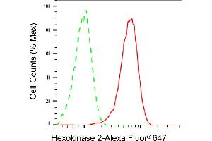 Flow cytometric analysis of Hexokinase 2 expression in HepG2 cells using Hexokinase 2 antibody (ABIN7798907), 1:2,000). (Recombinant Hexokinase 2 antibody)