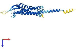 Transmembrane Protein 179 (TMEM179) (AA 1-233) protein (His tag)