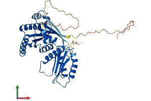 AlphaFold protein structure predicition of Mouse Recombinant Rragb Protein, UniprotID Q6NTA4 (RRAGB Protein (AA 1-374) (His tag))