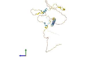 AlphaFold protein structure predicition of Mouse Recombinant Ldlrad4 Protein, UniprotID Q8BWJ4