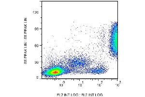 Surface staining of CD16 in human peripheral blood with anti-CD16 (3G8) biotin. (CD16 antibody  (Biotin))
