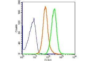 293T cells probed with GADD34 Polyclonal Antibody, ALEXA FLUOR® 647 Conjugated (bs-10287R-A647) at 1:100 for 30 minutes compared to control cells (blue) and isotype control (orange). (GADD34 antibody  (AA 401-500) (Alexa Fluor 647))