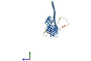 AlphaFold protein structure predicition of Human Recombinant FSD1 Protein, UniprotID Q9BTV5 (FSD1 Protein (AA 1-496) (His tag))