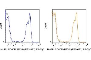 Flow Cytometry (FACS) image for anti-Protein tyrosine Phosphatase, Receptor Type, C (PTPRC) antibody (PE-Cy5) (ABIN7278378)