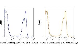 C57Bl/6 splenocytes were stained with 0. (CD45 antibody  (PE-Cy5))