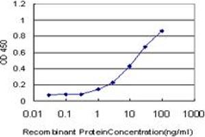 Detection limit for recombinant GST tagged EDA2R is approximately 1ng/ml as a capture antibody. (Ectodysplasin A2 Receptor antibody  (AA 1-110))