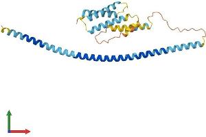 Protein Structure (PS) image for Ubiquitin-Conjugating Enzyme E2Z (UBE2Z) (AA 1-259) protein (His tag) (ABIN7545036)