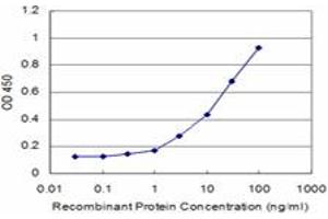 Detection limit for recombinant GST tagged EIF2AK2 is approximately 0. (EIF2AK2 antibody  (AA 1-100))