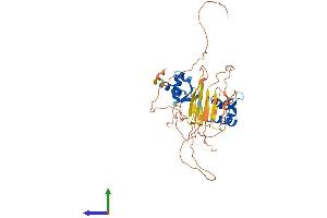 AlphaFold protein structure predicition of Human Recombinant ZBP1 Protein, UniprotID Q9H171