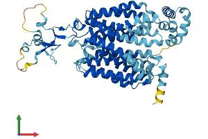 AlphaFold protein structure predicition of Human Recombinant SLC22A10 Protein, UniprotID Q63ZE4 (SLC22A10 Protein (AA 1-541) (His tag))