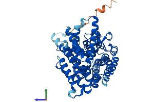 AlphaFold protein structure predicition of Mouse Recombinant Mboat7 Protein, UniprotID Q8CHK3