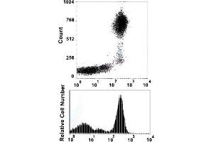 Flow cytometric analysis of human normal whole blood with ITGAM monoclonal antibody, clone DCIS1/18 (PerCP) . (CD11b antibody  (PerCP))