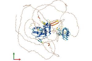 Protein Structure (PS) image for SUMO1/sentrin Specific Protease 7 (SENP7) (AA 1-1050) protein (His tag) (ABIN7555473)