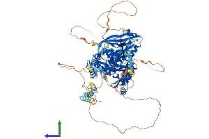 Protein Structure (PS) image for Discs, Large Homolog 1 (DLG1) (AA 1-905) protein (His tag) (ABIN7564314)