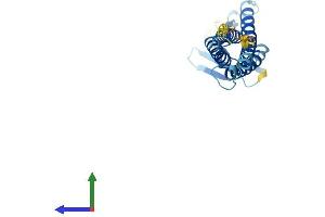 AlphaFold protein structure predicition of Mouse Recombinant Cldn4 Protein, UniprotID O35054 (Claudin 4 Protein (CLDN4) (AA 1-210) (His tag))