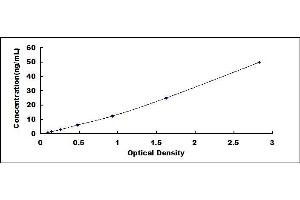 Typical standard curve (Complement Factor B ELISA Kit)