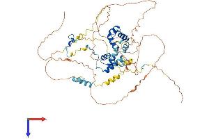 MIER3 Protein (AA 1-550) (His tag)