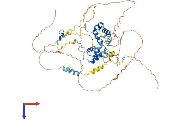 MIER3 Protein (AA 1-550) (His tag)