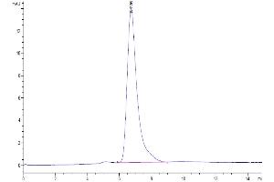Size-exclusion chromatography-High Pressure Liquid Chromatography (SEC-HPLC) image for Fibroblast Growth Factor Receptor 1 (FGFR1) (AA 22-374) protein (His-Avi Tag) (ABIN7274633)