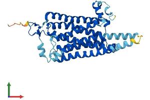 AlphaFold protein structure predicition of Mouse Recombinant Taar8a Protein, UniprotID Q5QD07 (TAAR8A Protein (AA 1-344) (His tag))