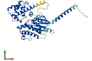 AlphaFold protein structure predicition of Mouse Recombinant Gnas Protein, UniprotID P63094