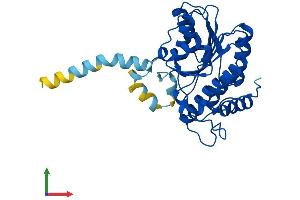 Protein Structure (PS) image for Retinol Dehydrogenase 12 (All-Trans/9-Cis/11-Cis) (RDH12) (AA 1-316) protein (His tag) (ABIN7551220)