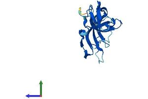 Protein Structure (PS) image for Inner Mitochondrial Membrane Peptidase Subunit 2 (IMMP2L) (AA 1-175) protein (His tag) (ABIN7558805)
