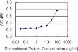 Fibrillin 2 antibody  (AA 2776-2876)