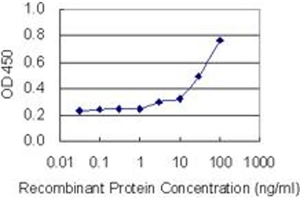 Fibrillin 2 antibody  (AA 2776-2876)