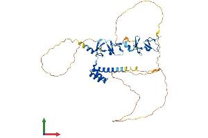 AlphaFold protein structure predicition of Mouse Recombinant Lhx5 Protein, UniprotID P61375