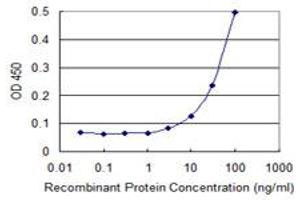 Detection limit for recombinant GST tagged ZNF167 is 3 ng/ml as a capture antibody. (Zinc Finger with KRAB and SCAN Domains 7 (ZKSCAN7) (AA 161-260) antibody)