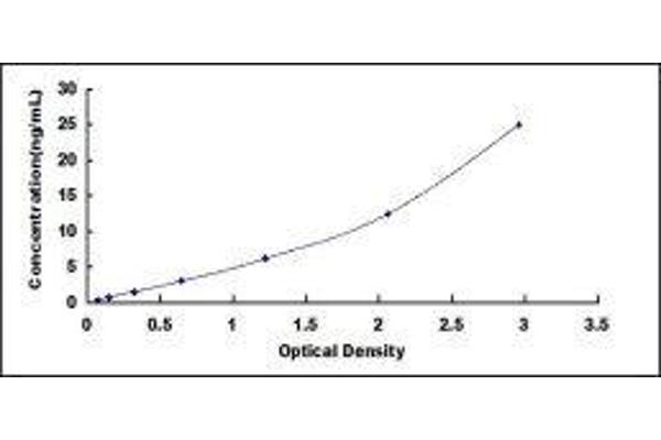 beta-2 Microglobulin ELISA Kit